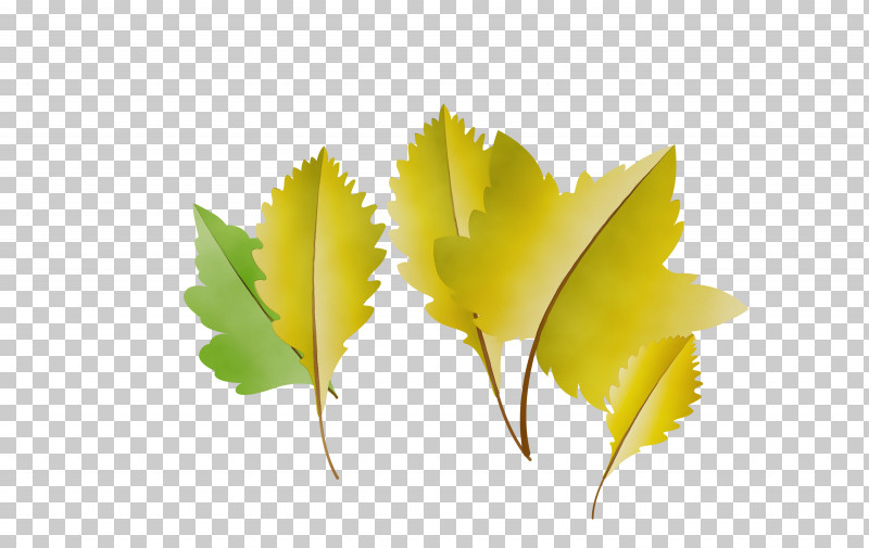 Leaf Computer M Biology Plants PNG, Clipart, Autumn Leaf, Biology, Cartoon Leaf, Computer, Fall Leaf Free PNG Download