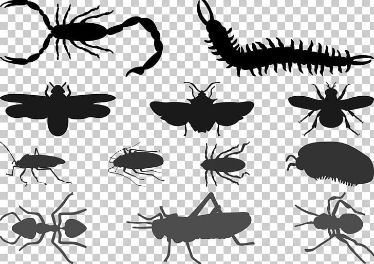 Beetle Cockroach Silhouette Butterfly PNG, Clipart, Black And White, City Silhouette, Dog Silhouette, Happy Birthday Vector Images, Insects Free PNG Download