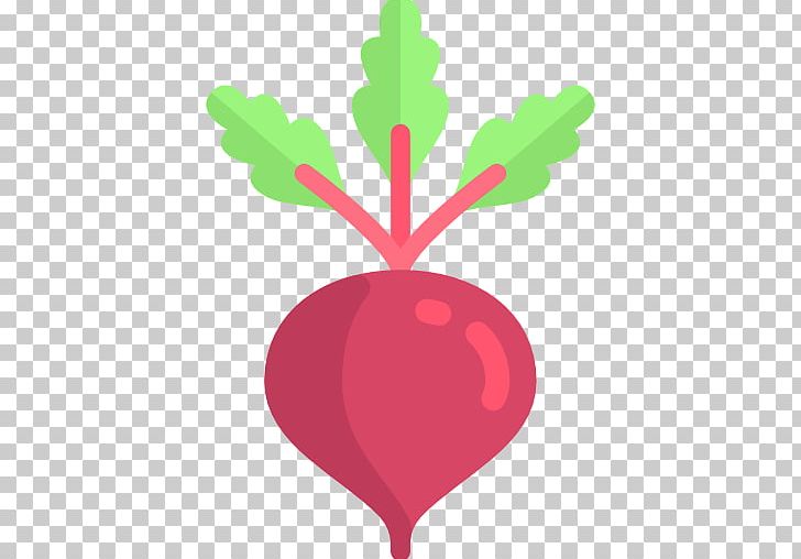 Computer Icons Common Beet Tillamook Beetroot PNG, Clipart,  Free PNG Download