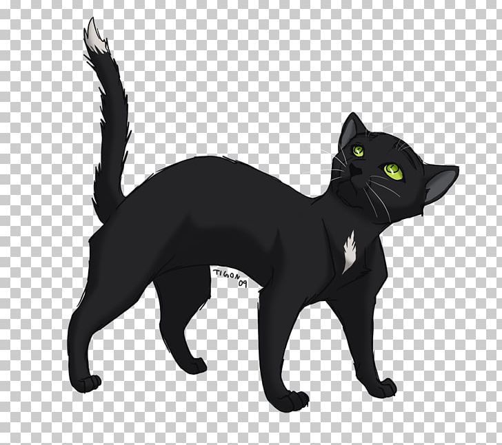 Into The Wild Cat Warriors Ravenpaw Firestar PNG, Clipart, Animals, Black, Black Cat, Bombay, Carnivoran Free PNG Download