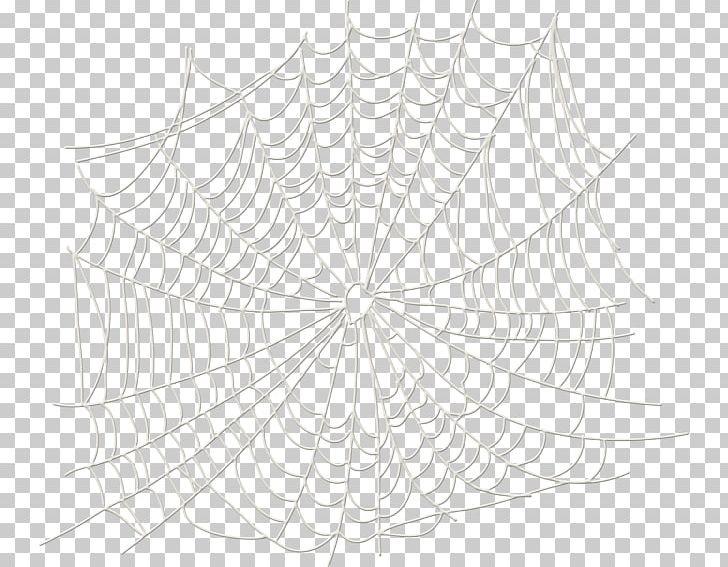 Twig Spider Symmetry White Pattern PNG, Clipart, Area, Black And White, Branch, Circle, Cobweb Free PNG Download