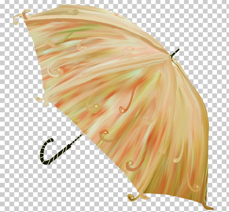 Umbrella Photography Frames PNG, Clipart, Color, Fashion Accessory, Handpainted Umbrellas, Orange, Others Free PNG Download