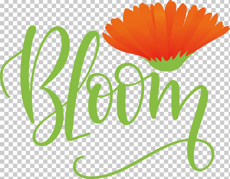 Bloom Spring PNG, Clipart, Bloom, Flower, Flowerpot, Free, Logo Free PNG Download