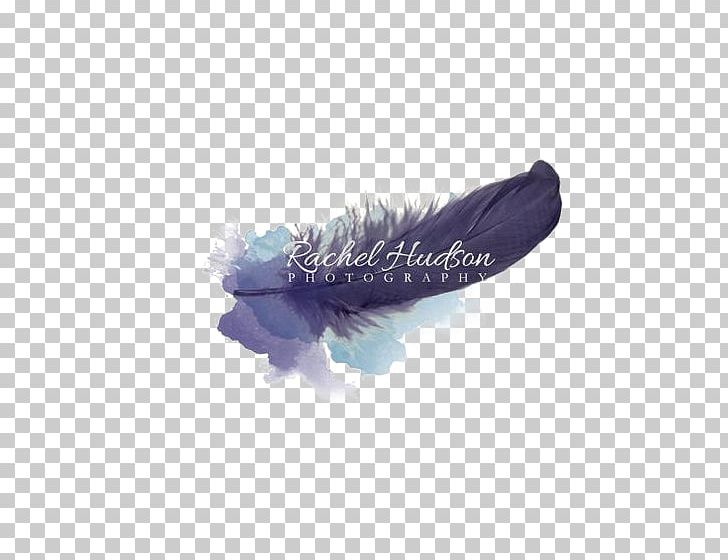 Logo Feather Photography Idea Photographer PNG, Clipart, Animals, Blue, Blue Background, Blue Flower, Brand Free PNG Download