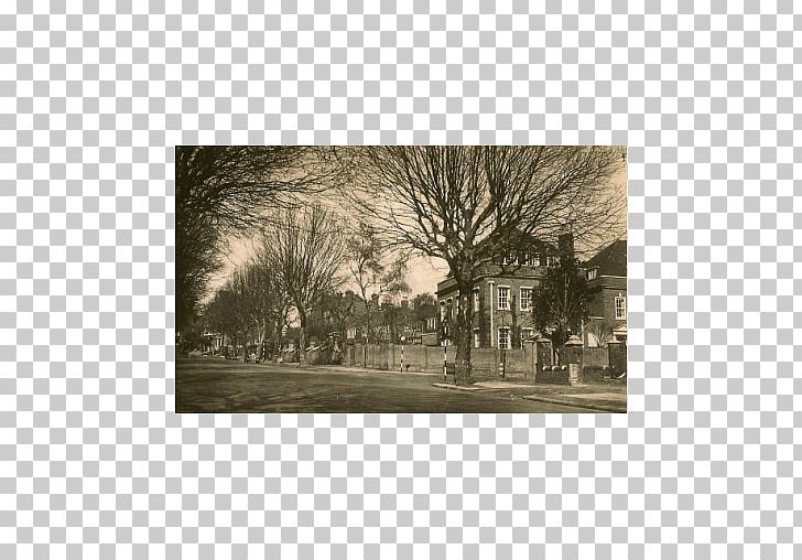 Paper Land Lot White Real Property PNG, Clipart, Black And White, Branch, Kenwood Avenue, Land Lot, Landscape Free PNG Download