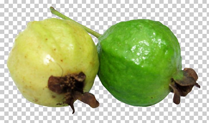 Common Guava Fruit Lime PNG, Clipart, Apple, Citrus, Common Guava, Dietary Fiber, Feijoa Free PNG Download