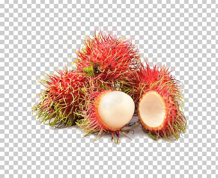 Fruit Soursop Pitaya Rambutan Horned Melon PNG, Clipart, Apple, Durian, Food, Food Drinks, Fruit Free PNG Download