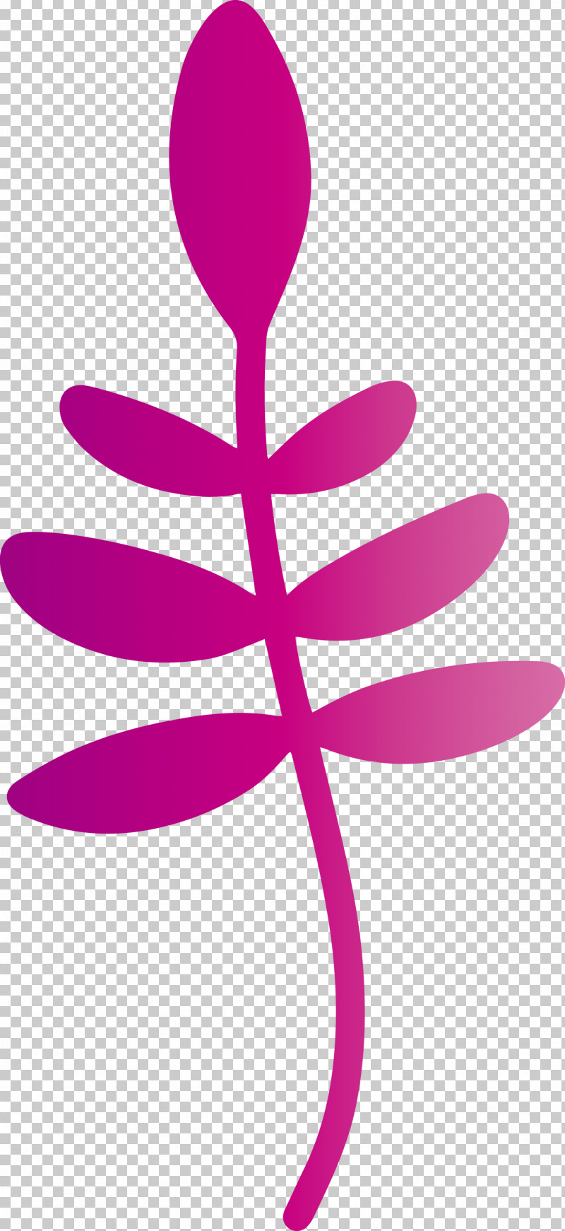 Flower Petal Line Meter Symbol PNG, Clipart, Biology, Flower, Geometry, Line, M Free PNG Download