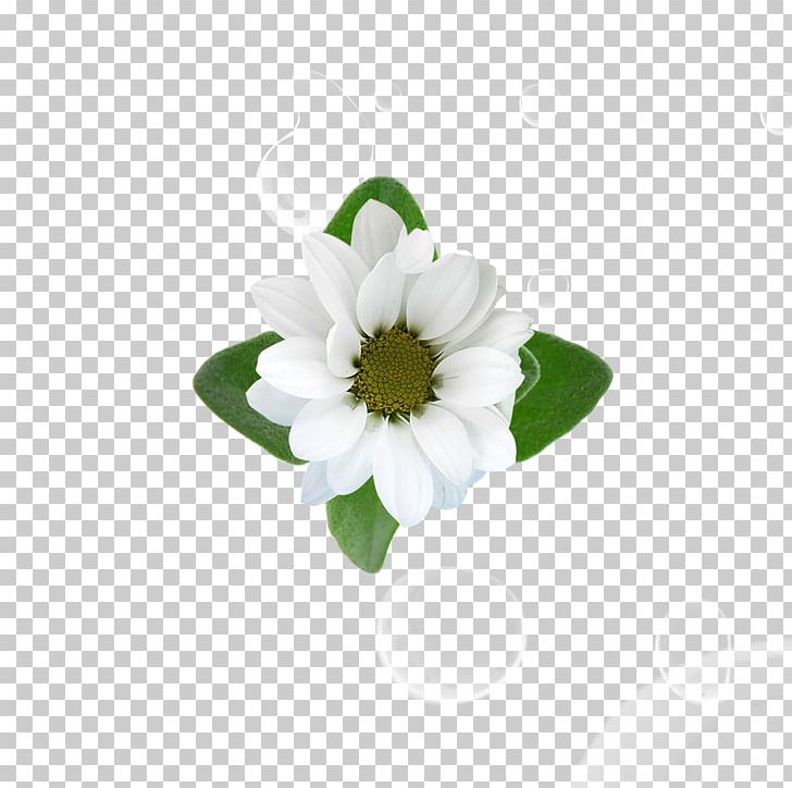 Chrysanthemum Flower Floral Design PNG, Clipart, Aesop, Bloom, Blooming, Blooming Flowers, Blooming Lilies Free PNG Download