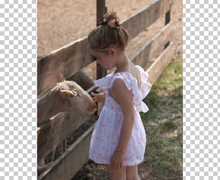 Goat Cattle Toddler PNG, Clipart, Animals, Cattle, Child, Girl, Goat Free PNG Download