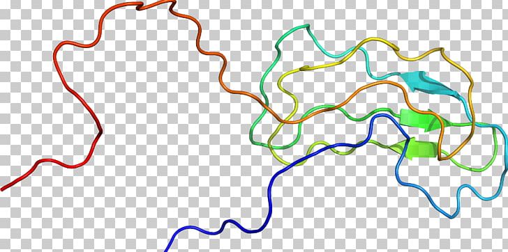 Line Point Organism PNG, Clipart, Area, Art, Line, Organism, Point Free PNG Download