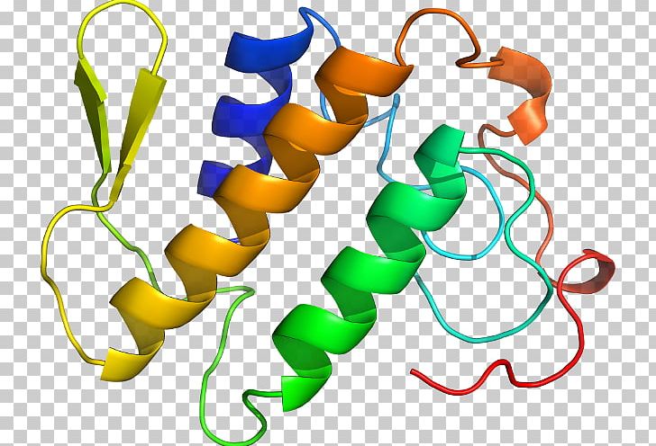 Phospholipase A2 Food Plant Stem Sequence PNG, Clipart, Artwork, Atom, Chemical Compound, Food, Homology Free PNG Download