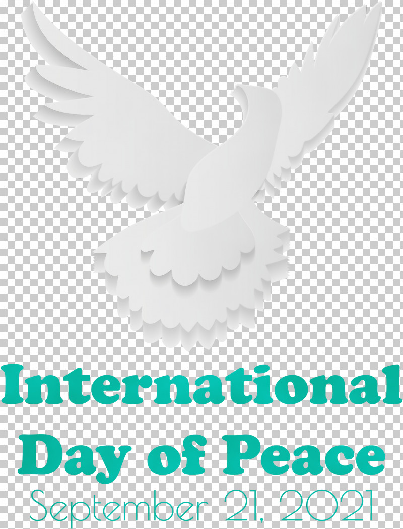 Feather PNG, Clipart, Beak, Biology, Birds, Feather, International Day Of Peace Free PNG Download