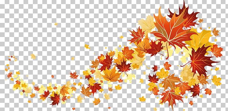 Autumn PNG, Clipart, Autumn , Branch, Computer Wallpaper, Desktop Wallpaper, Display Resolution Free PNG Download