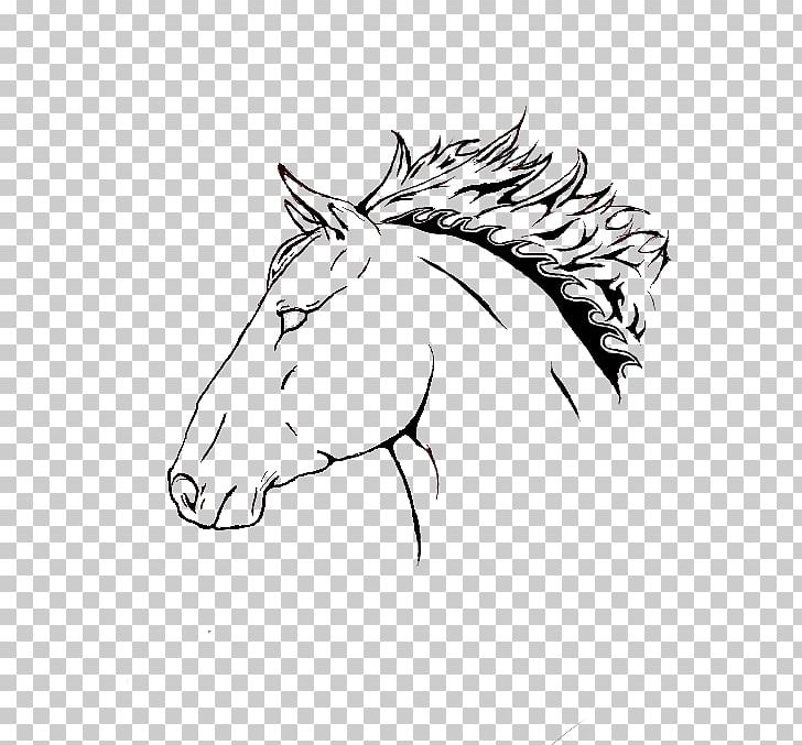 Bridle Snout Halter Rein Mustang PNG, Clipart, Black And White, Bridle, Carnivoran, Cartoon, Drawing Free PNG Download