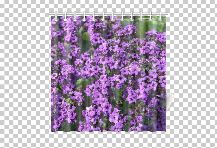 English Lavender Violet Purple Larkspur Canvas Print PNG, Clipart, Annual Plant, Bag, Canvas, Canvas Print, Delphinium Free PNG Download