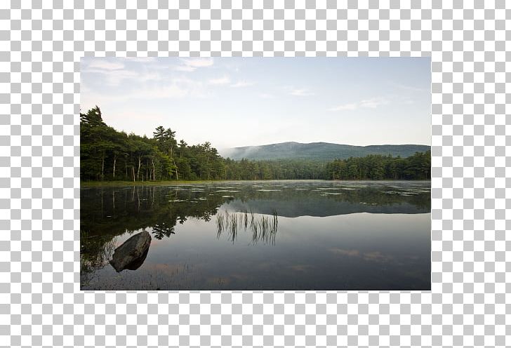 Mount Monadnock State Park New Hampshire Division Of Parks And Recreation Nature Reserve PNG, Clipart, Bank, Bayou, Bog, Calm, Dows Lake Pavilion Free PNG Download