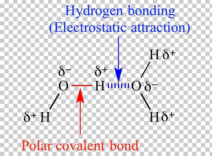Chemical Polarity Organic Chemistry Molecule Covalent Bond PNG, Clipart, Angle, Apolaire Verbinding, Area, Blue, Brand Free PNG Download
