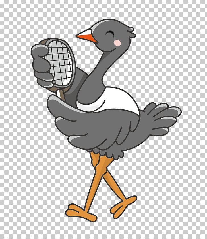Duck Mirror PNG, Clipart, Art, Beak, Bird, Cartoon, Chicken Free PNG Download
