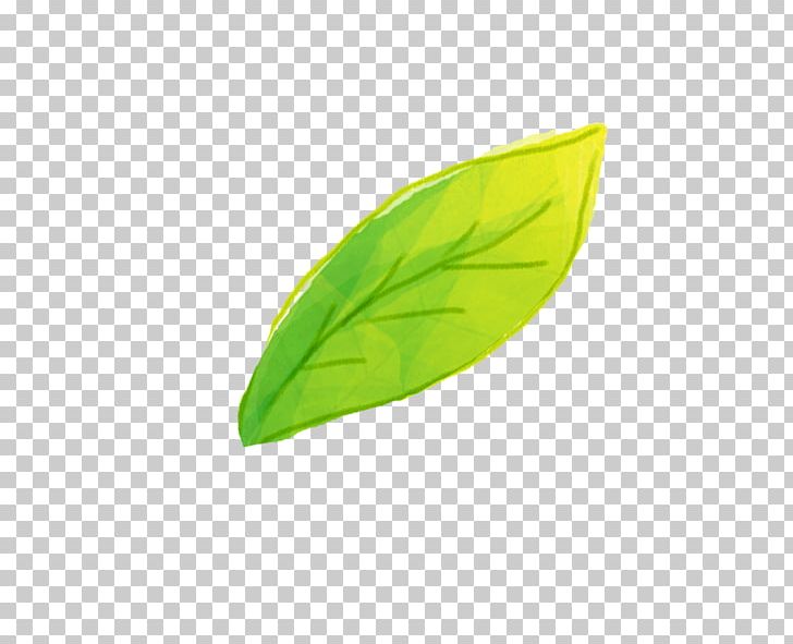 Leaf PNG, Clipart, Autumn Leaf, Computer, Computer Wallpaper, Grass, Green Free PNG Download