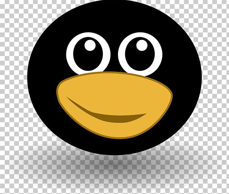 Penguin Smiley Emoticon PNG, Clipart, Animals, Beak, Circle, Computer Icons, Download Free PNG Download