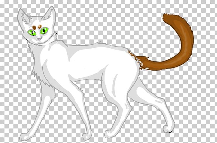 Whiskers Red Fox Cat Dog PNG, Clipart, Animal, Animal Figure, Animals, Artwork, Canidae Free PNG Download