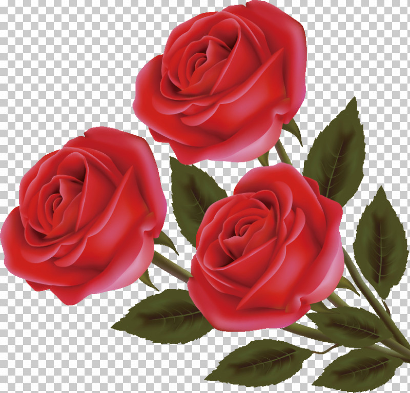 Three Flowers Three Roses Valentines Day PNG, Clipart, Artificial Flower, Bouquet, Bud, Camellia, China Rose Free PNG Download