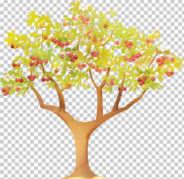 GUM Bosco Family Petrovsky Passage Bosco Di Ciliegi Sublime By Bosco PNG, Clipart, Articoli, Branch, Business, Clothing, Family Tree Free PNG Download