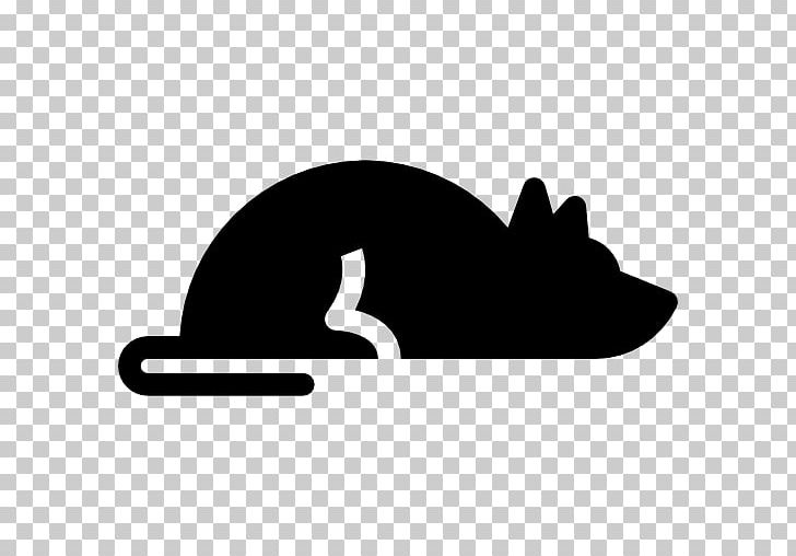 Whiskers Dog Cat PNG, Clipart, Animal, Animals, Black, Black And White, Carnivoran Free PNG Download