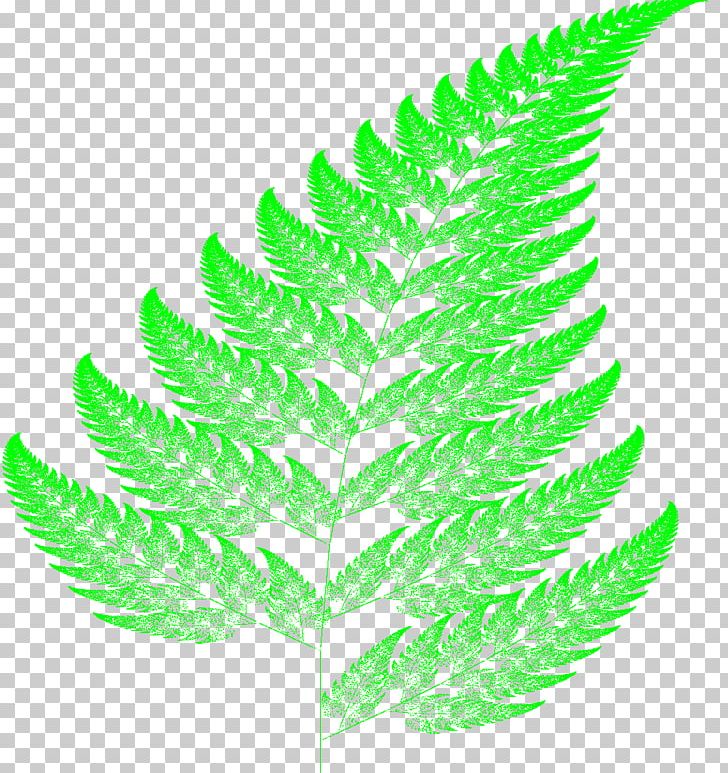 Barnsley Fern Fractal Leaf Vascular Plant PNG, Clipart, Barnsley Fern, Chaos Theory, Fern, Ferns And Horsetails, Fractal Free PNG Download