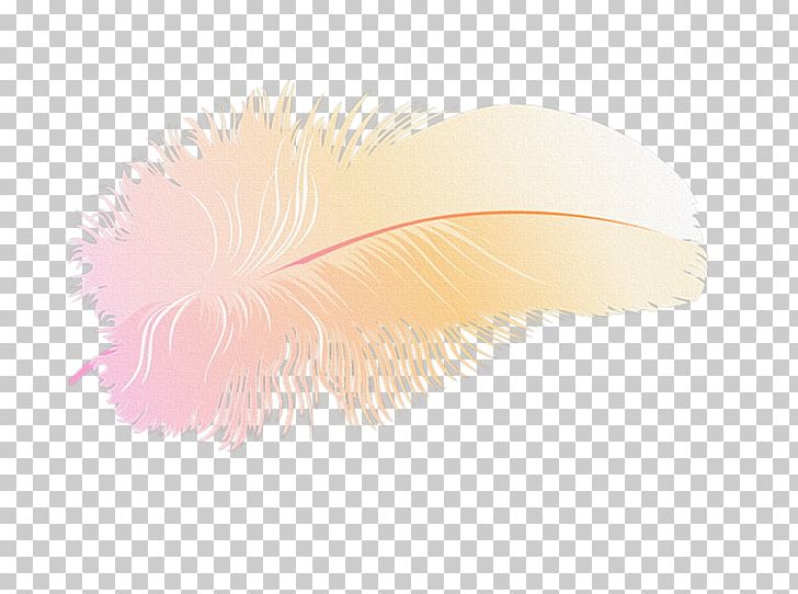 Feather PNG, Clipart, Animals, Feather, Quill, Wing Free PNG Download