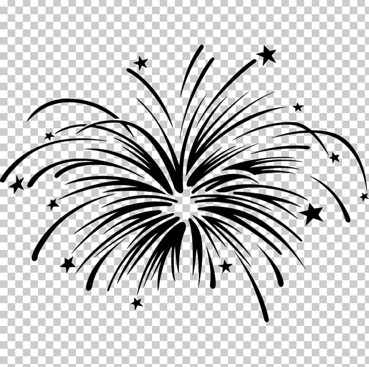 Fireworks Black And White PNG, Clipart, Black, Branch, Butterfly, Coloring Pages, Drawing Free PNG Download