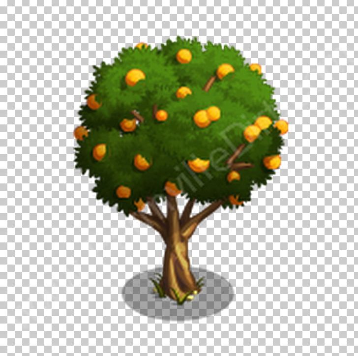 Fruit Tree Shrub Flowerpot Presentation PNG, Clipart, Citrus, Com, Dirt, Farmville, Flower Free PNG Download