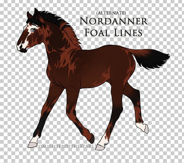 Mustang Foal Mare Pony Stallion PNG, Clipart, Animal, Breed, Bridle, Colt, Deviantart Free PNG Download