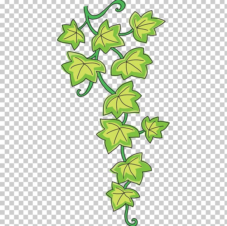 Vine Common Ivy Drawing Sticker PNG, Clipart, Branch, Common Ivy, Decoratie, Desktop Wallpaper, Drawing Free PNG Download
