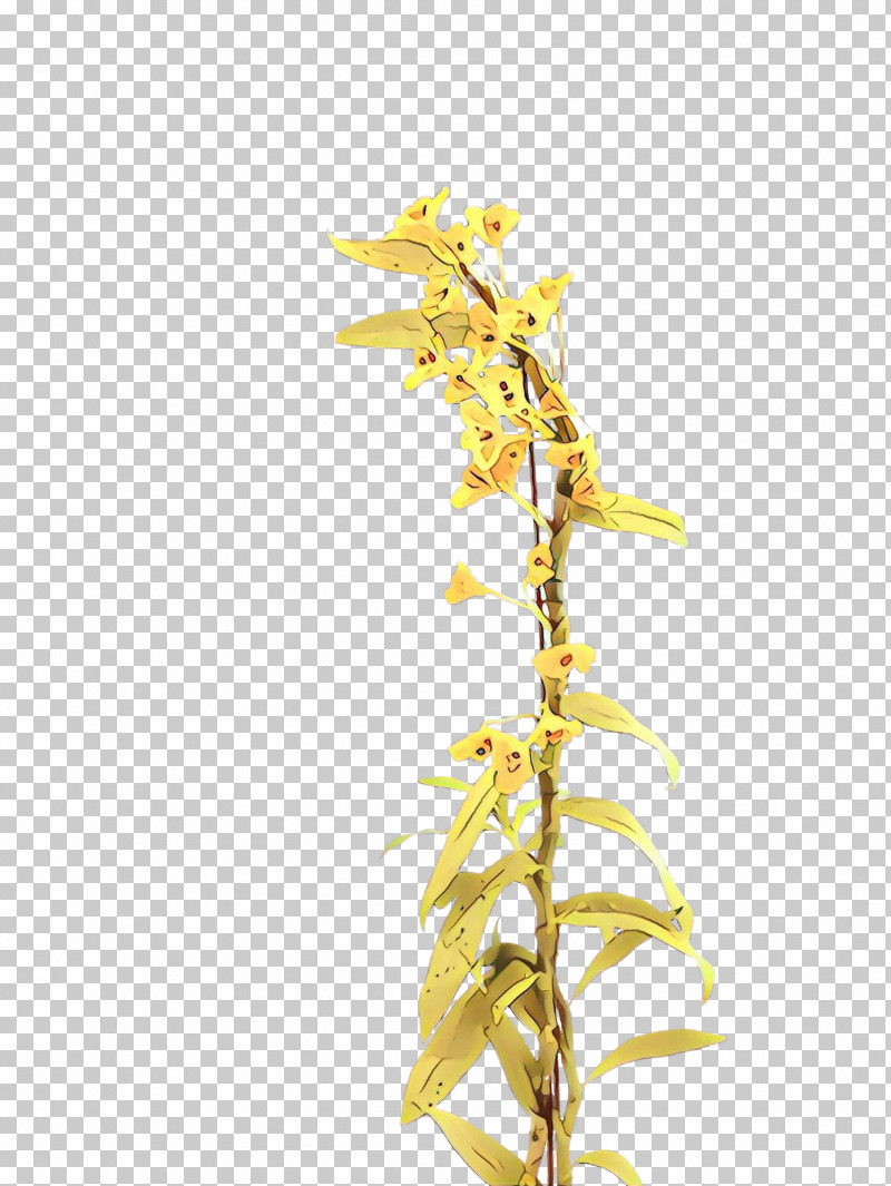 Yellow Plant Flower Twig Branch PNG, Clipart, Branch, Flower, Plant, Plant Stem, Twig Free PNG Download