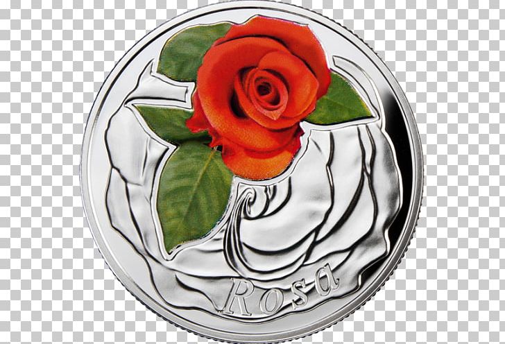 Garden Roses Silver Coin Flower PNG, Clipart, Coin, Cut Flowers, Flower, Flowering Plant, Garden Free PNG Download