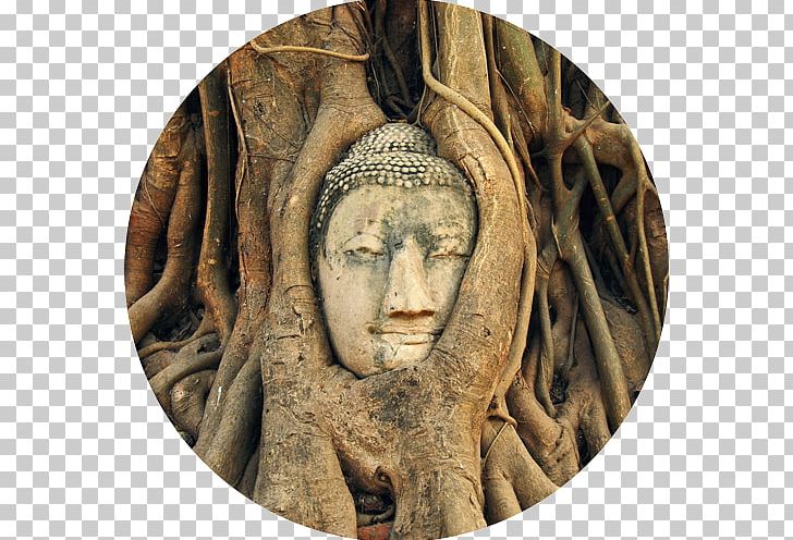 Ayutthaya Historical Park Wat Mahathat Ayutthaya Kingdom Temple Sukhothai Kingdom PNG, Clipart, Artifact, Ayutthaya Historical Park, Ayutthaya Kingdom, Bangkok, Buddha Images In Thailand Free PNG Download