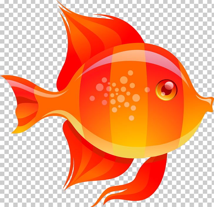 Goldfish PNG, Clipart, Animals, Computer Wallpaper, Download, Drawing, Fish Free PNG Download