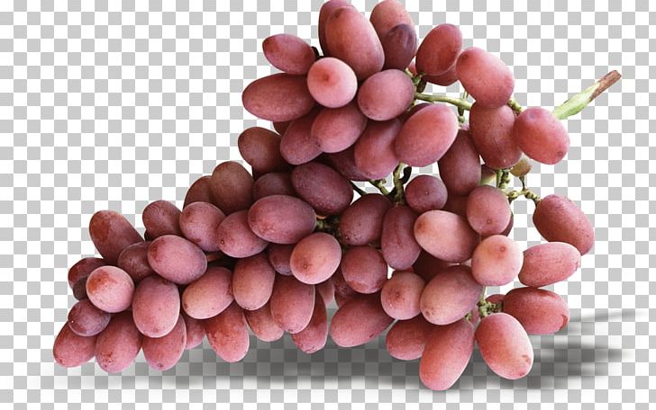 Grape PNG, Clipart, Creative Ads, Creative Artwork, Creative Background, Creative Fruit, Creative Grape Free PNG Download