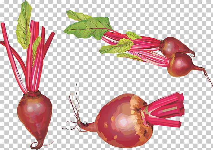 Sugar Beet Vegetable Beetroot Chard PNG, Clipart, Beet, Beet Png, Beetroot, Carrot, Common Beet Free PNG Download