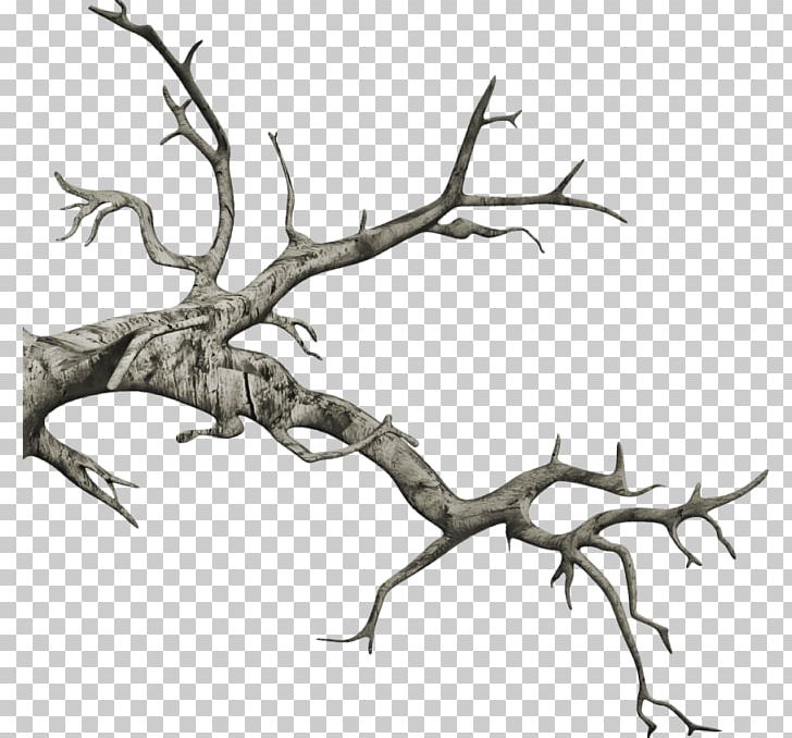 Drawing PNG, Clipart, Antler, Art, Artwork, Black And White, Branch Free PNG Download