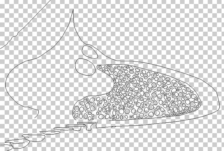 Drawing Black And White Shoe /m/02csf PNG, Clipart, Area, Art, Artwork, Black And White, Drawing Free PNG Download