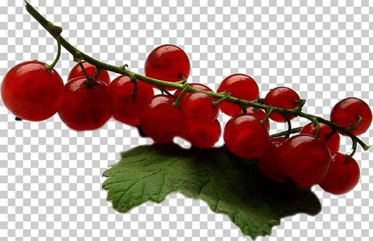 Redcurrant Fruit Jam Auglis Varenye PNG, Clipart, Auglis, Berry, Branch, Cherry, Cranberry Free PNG Download