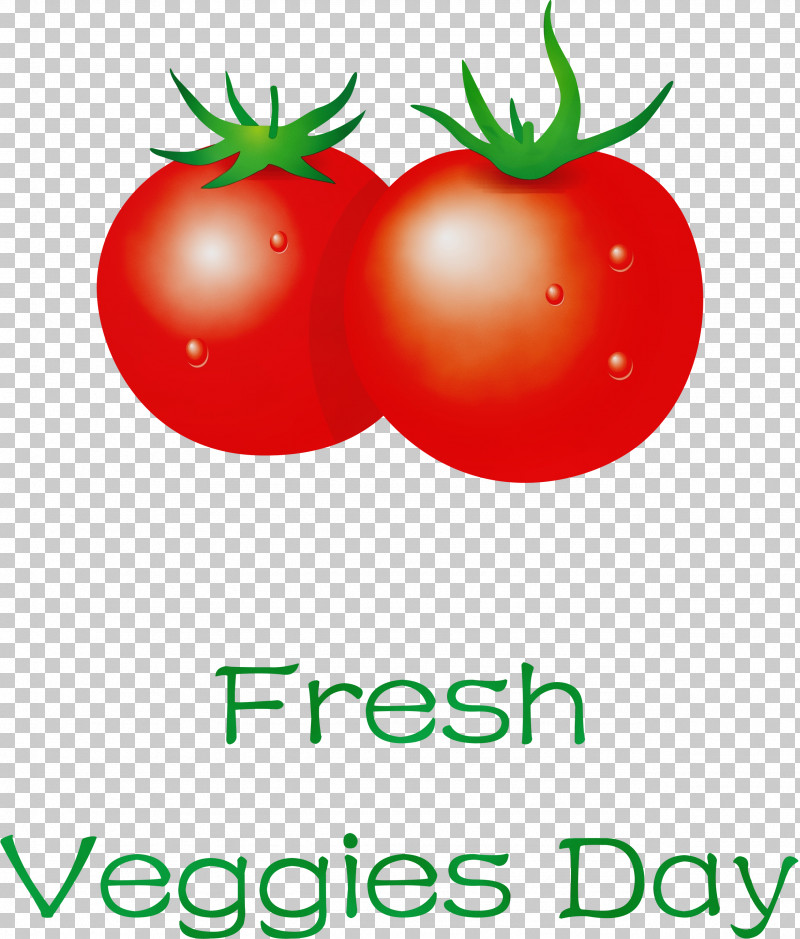 Tomato PNG, Clipart, Apple, Bush Tomato, Datterino Tomato, Fresh Veggies, Local Food Free PNG Download