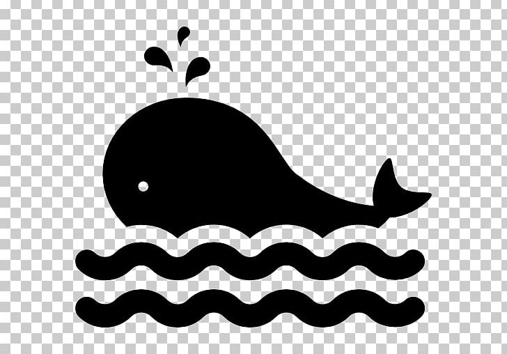 Cetacea Computer Icons PNG, Clipart, Area, Artwork, Black, Black And White, Breathe Free PNG Download