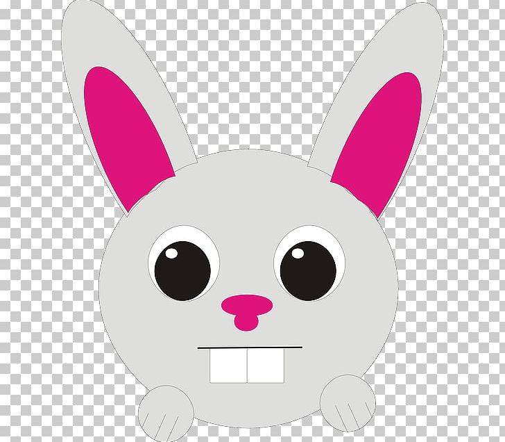 Domestic Rabbit PNG, Clipart, Animal, Animals, Cartoon, Cat, Domestic Rabbit Free PNG Download