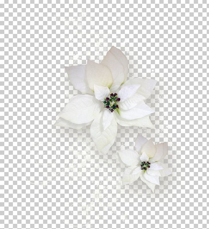 Floral Design Cut Flowers Flower Bouquet PNG, Clipart, Branch, Computer, Computer Wallpaper, Desktop Wallpaper, Family Free PNG Download