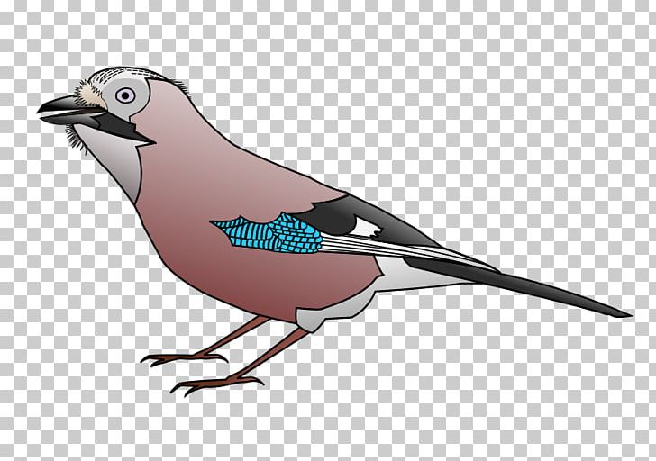Welsummer Bird Windows Metafile PNG, Clipart, Animals, Beak, Bird, British Finches, Chicken Free PNG Download