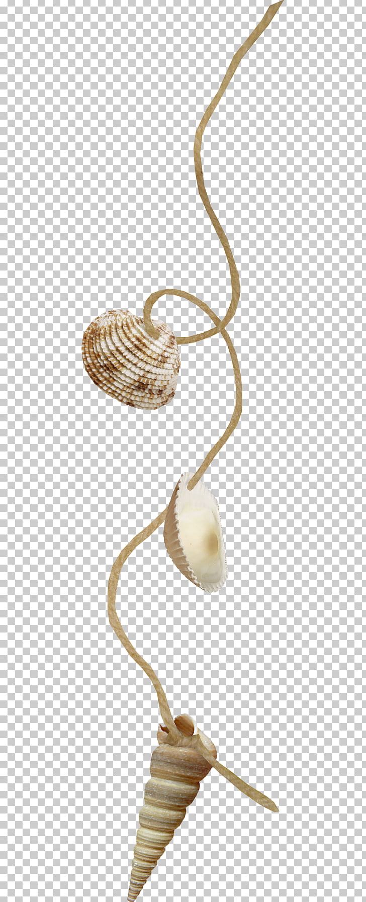 Digital Scrapbooking Icon PNG, Clipart, Adobe Illustrator, Albom, Cartoon Rope, Connection, Download Free PNG Download